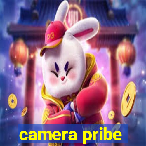 camera pribe